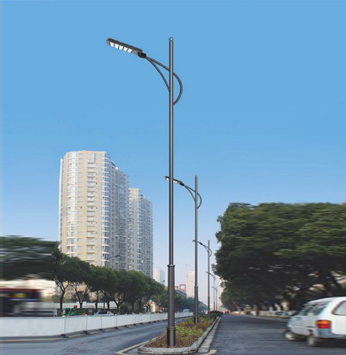 1742826552130999.jpg 玉树LED路灯.jpg