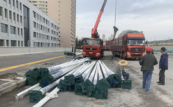 农村玉树太阳能路灯安装全解析：庭院玉树太阳能路灯施工指南